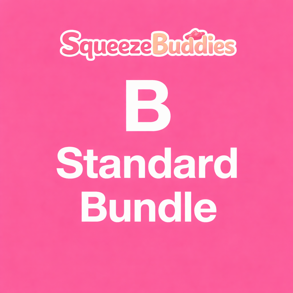 B - Standard Bundle