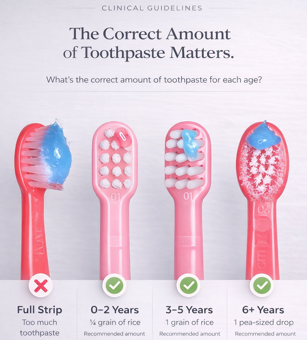 Illustration of toothbrushes with different amounts of toothpaste for various age groups on a white background.