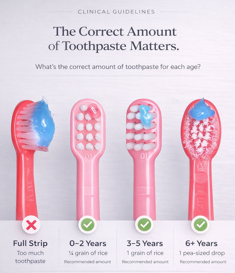 Illustration of toothbrushes with different amounts of toothpaste for various age groups on a white background.